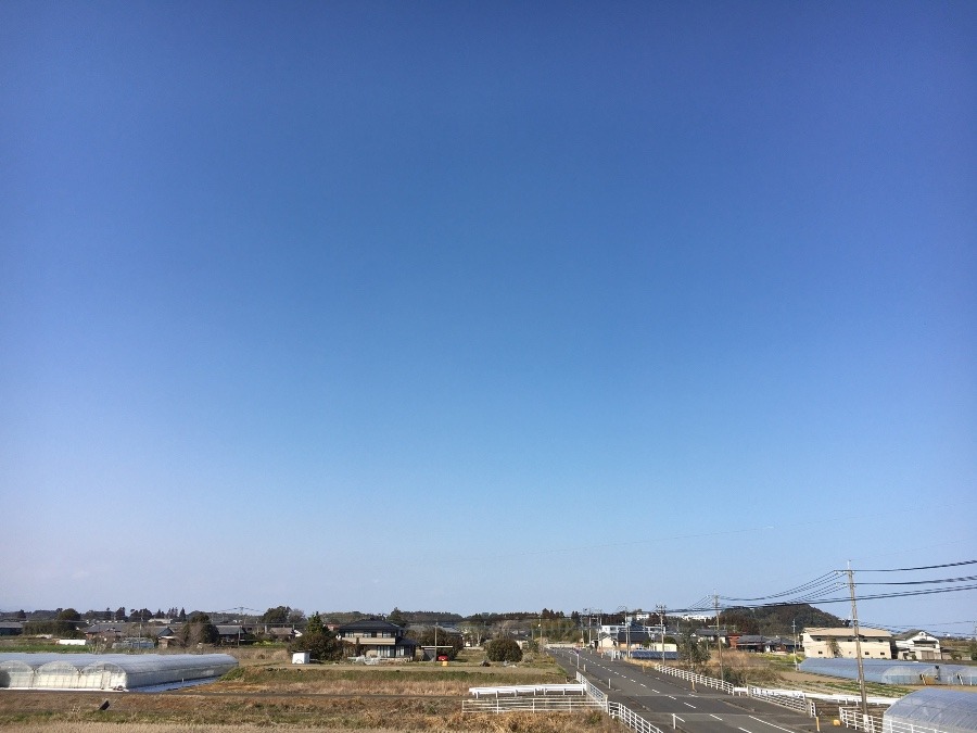 ⭕️空部→ 今日の空（≧∇≦）‼️499.