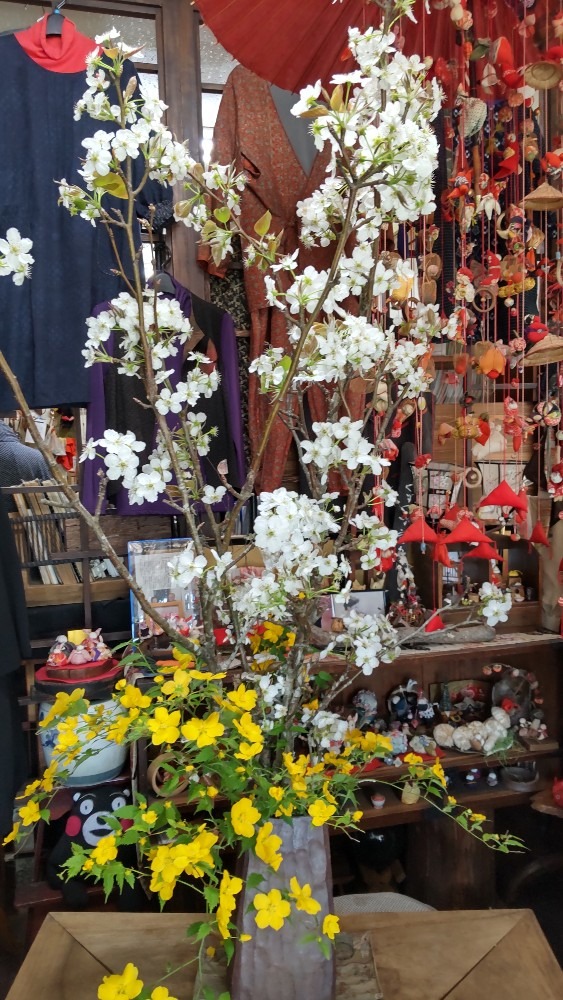 行きつけのお店の花