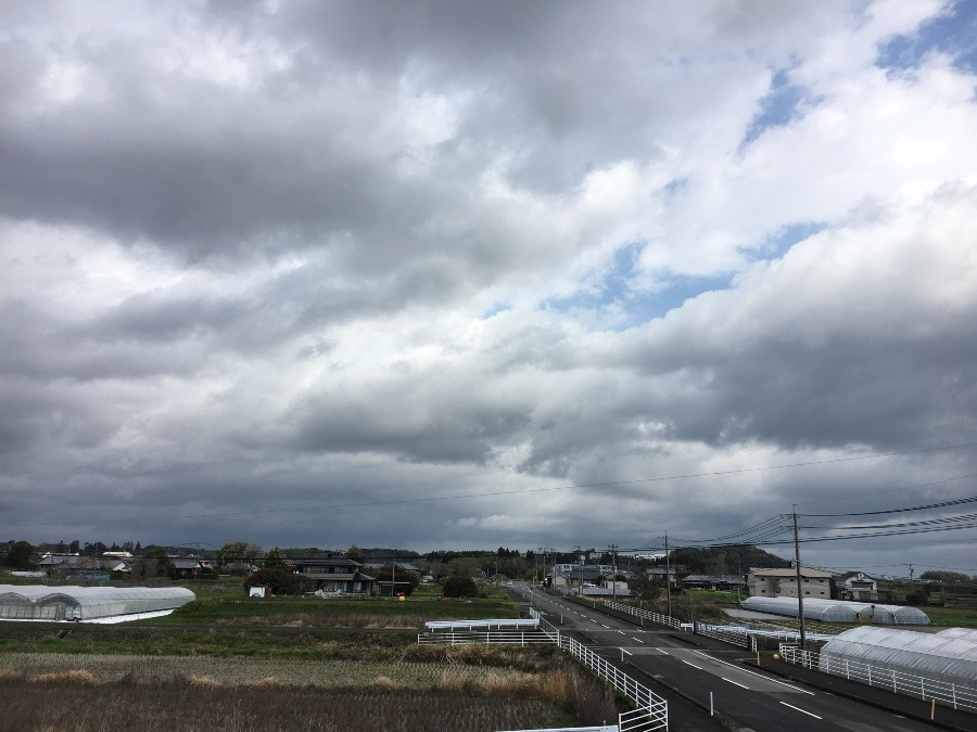 ⭕️空部→ 午前中の、今日の空（≧∇≦）‼️493.