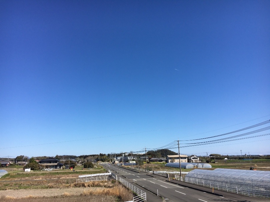 ⭕️空部→ 今日の空（≧∇≦）‼️485.