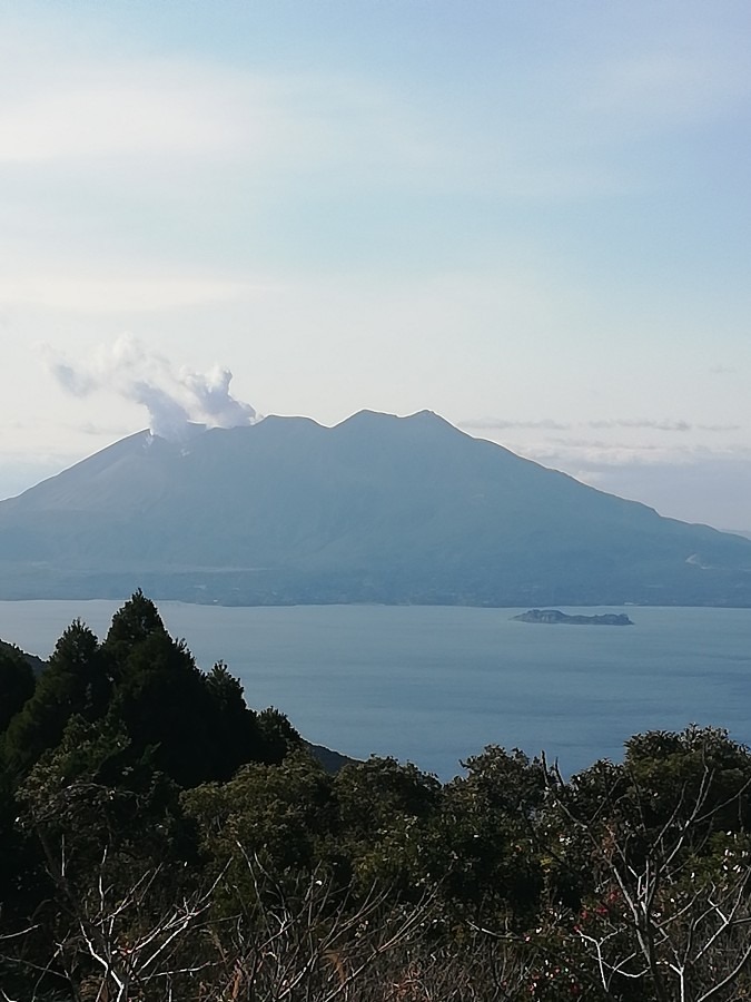 桜島!