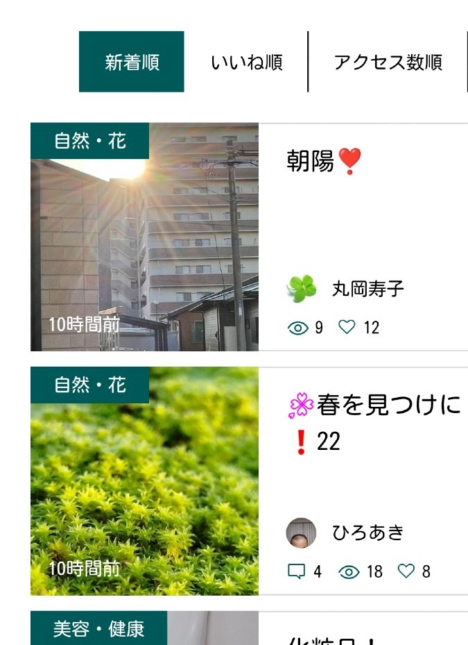 ☀️朝陽を浴びる苔🌱🤭