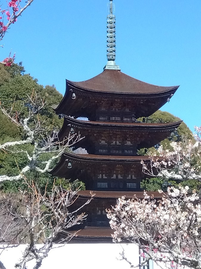 瑠璃光寺五重塔