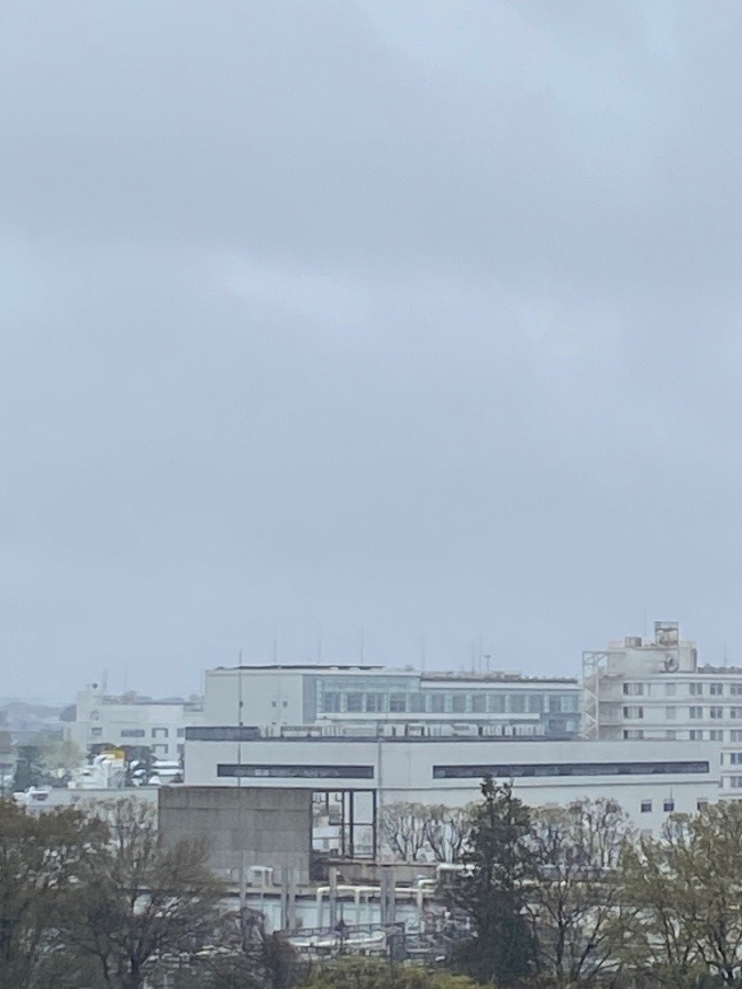 今朝の富士山