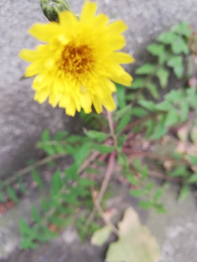 癒やされて!!