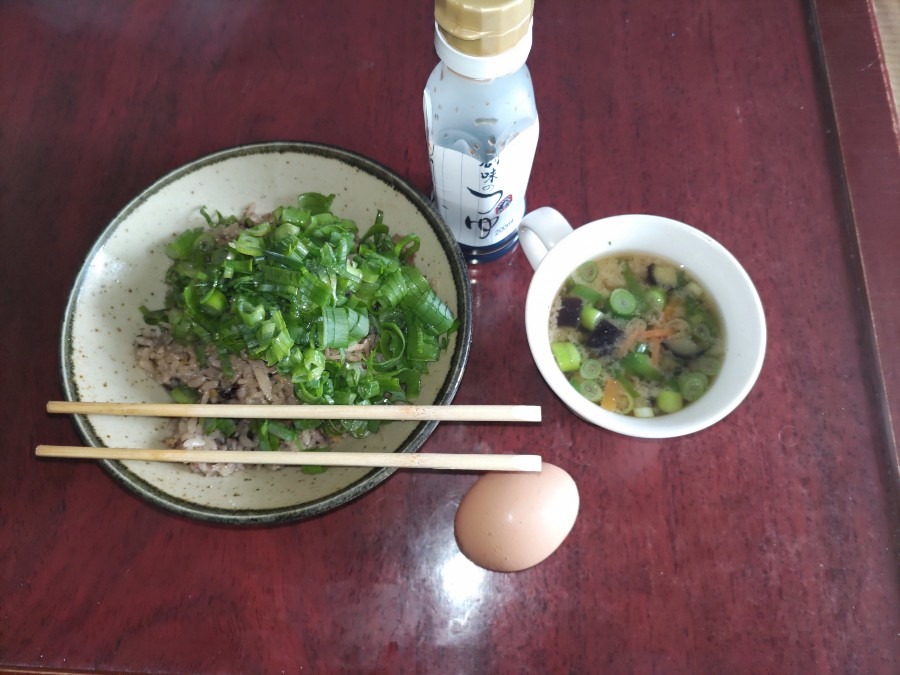 今日の昼飯❣