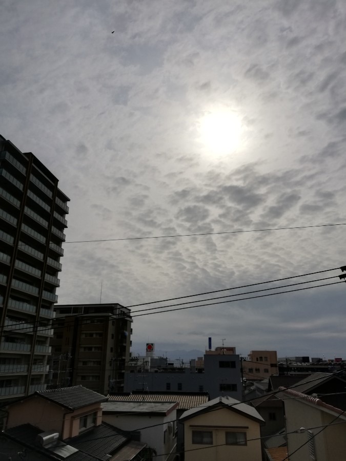 今日の空!