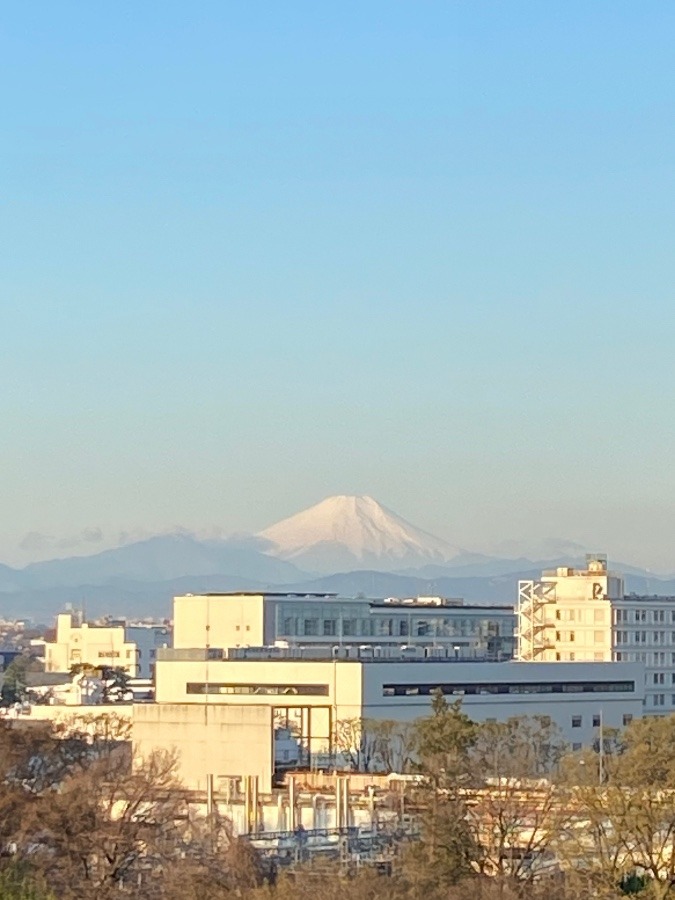 今朝の富士山