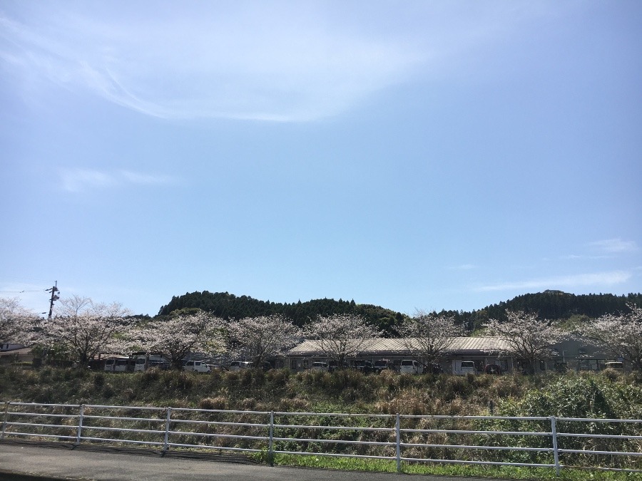 ⭕️空部→ 今日の空（≧∇≦）‼️502.