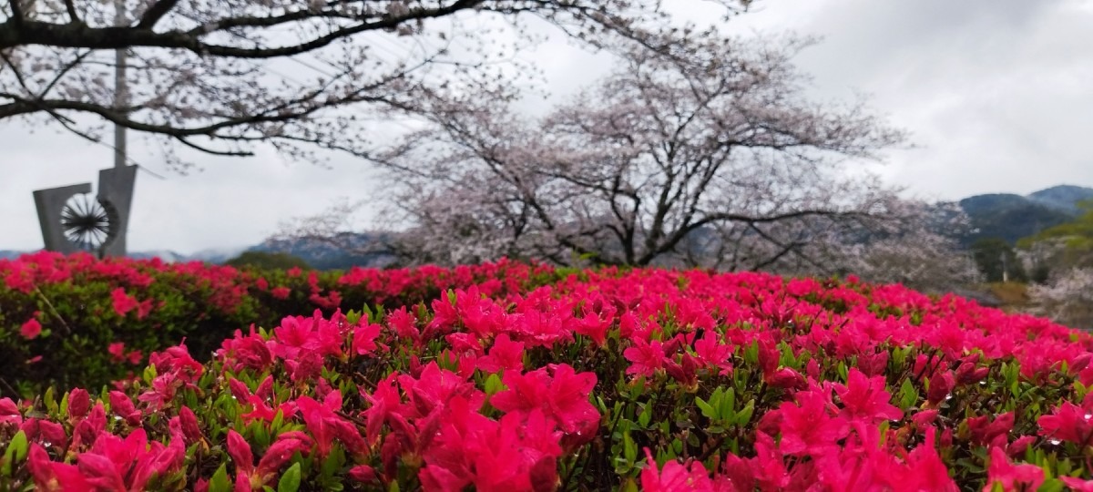 🌸春を見つけに😊❗24-④