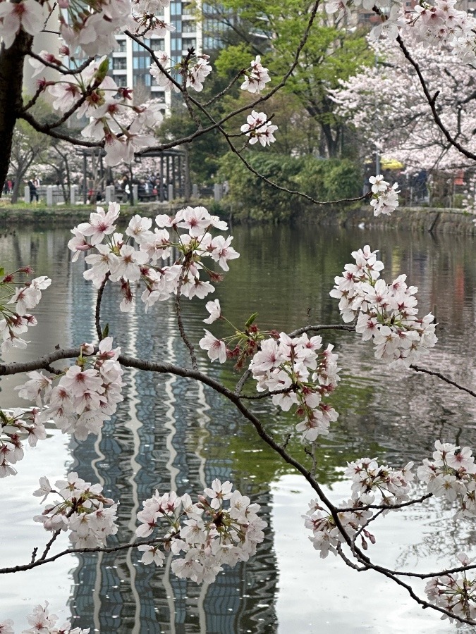 上野