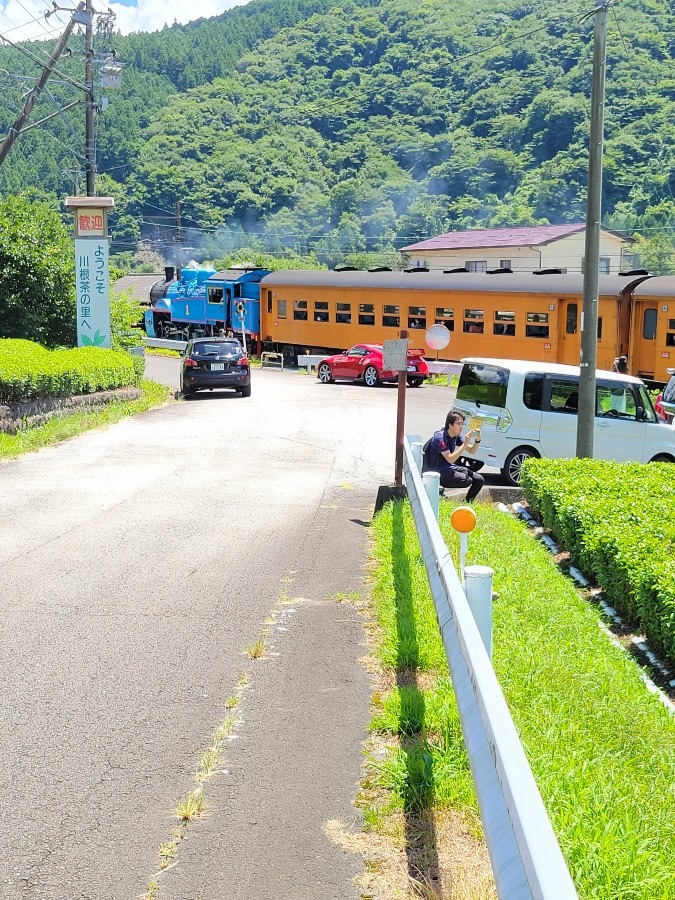 撮影スポットを通過するきかんしゃトーマス