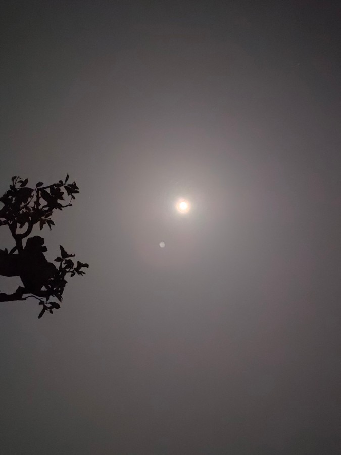 23時　満月で外が明るいです🌕