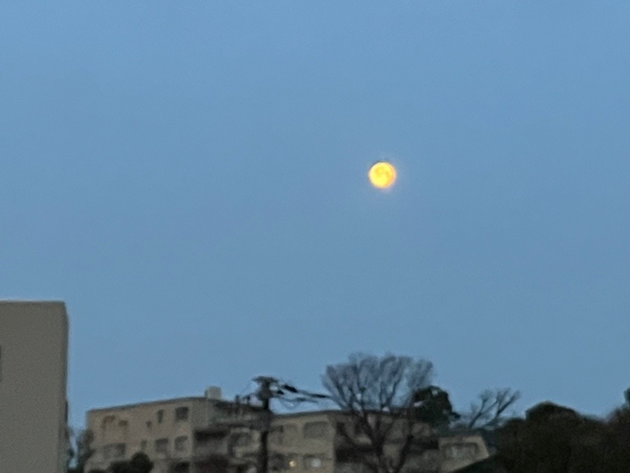 3/9 朝空