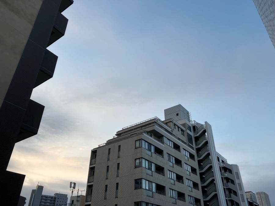 3/5 朝空