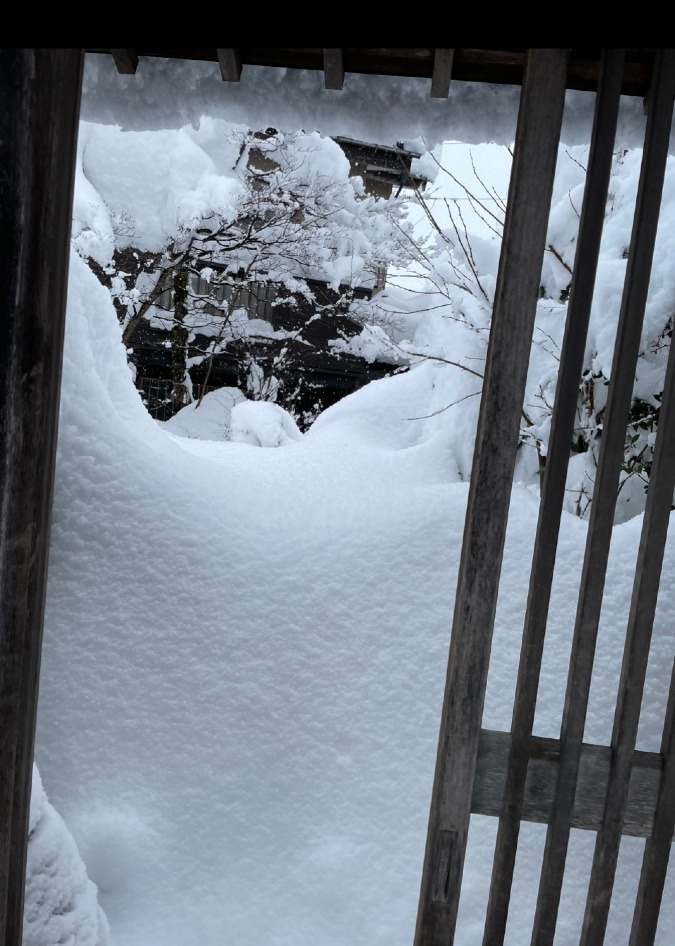 今年1/29長岡大雪⛄️