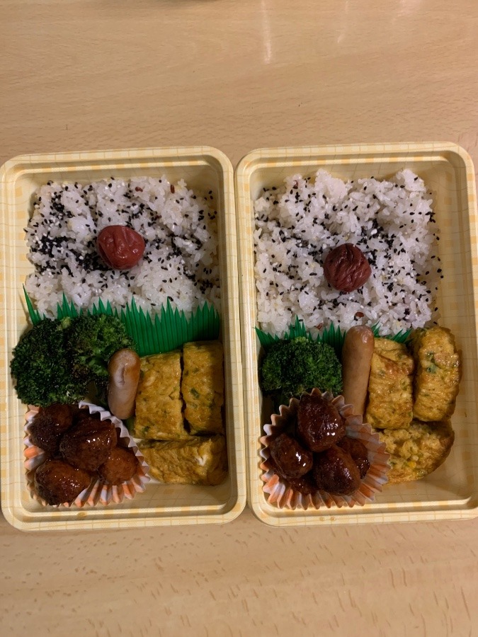 今日のお弁当