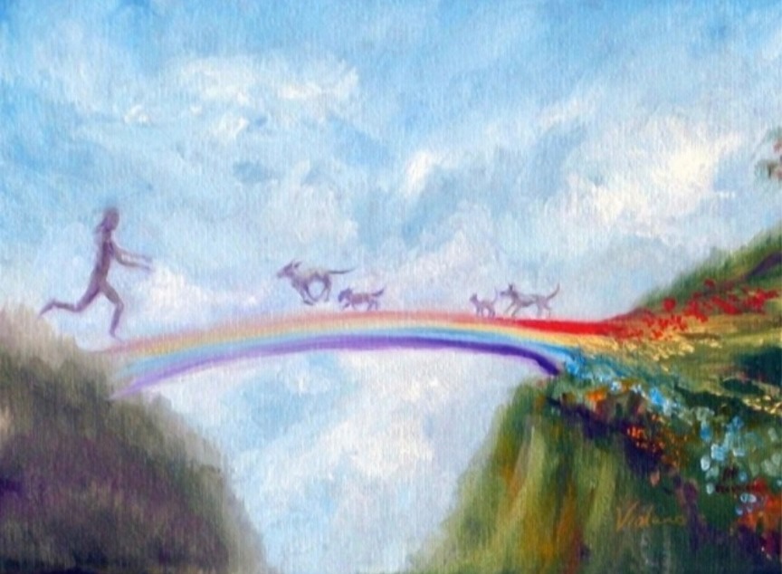 ペットロスを癒やす有名な詩『虹の橋』