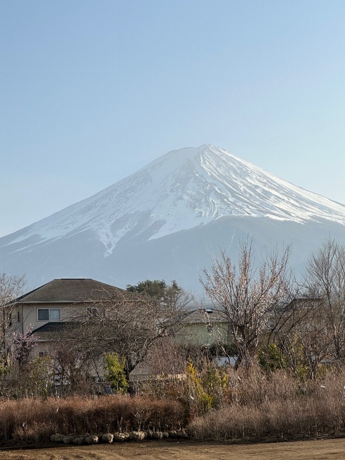 富士山