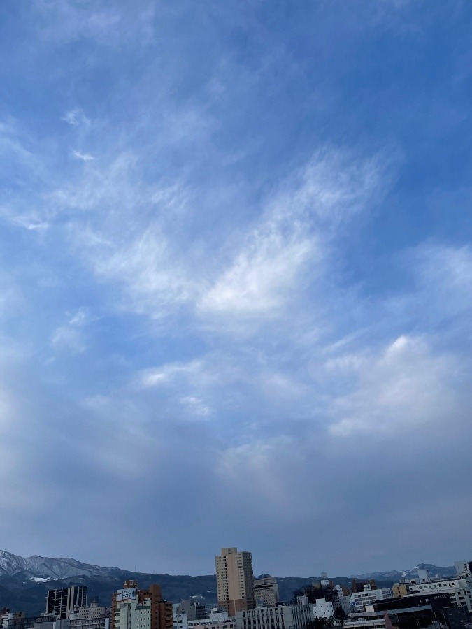 今朝の空  3
