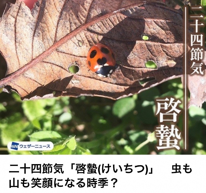 虫や山が笑う啓蟄🐞🐛🐝