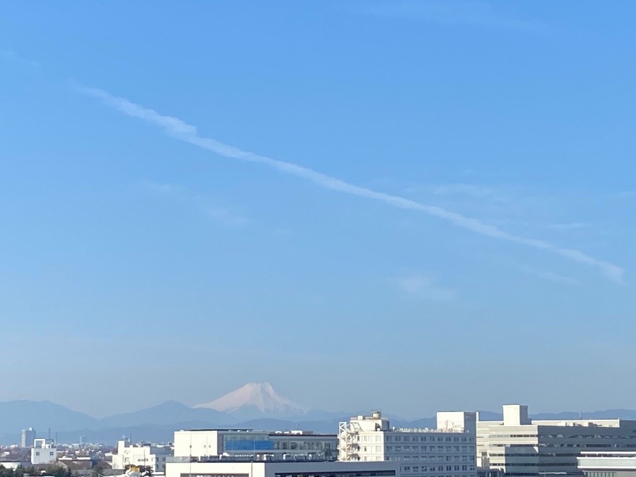 今朝の富士山