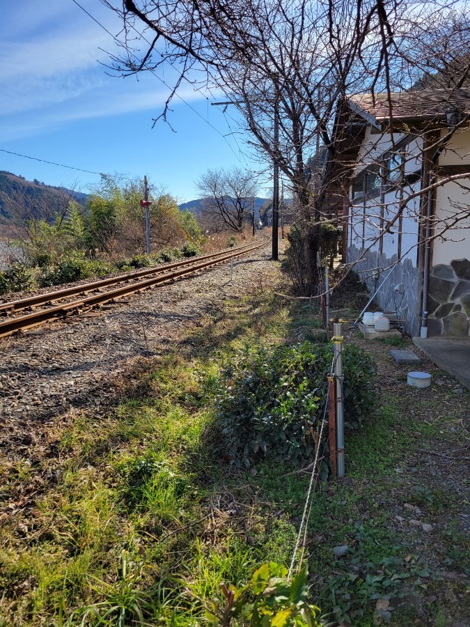 大井川鐵道家山駅近くでの１コマです