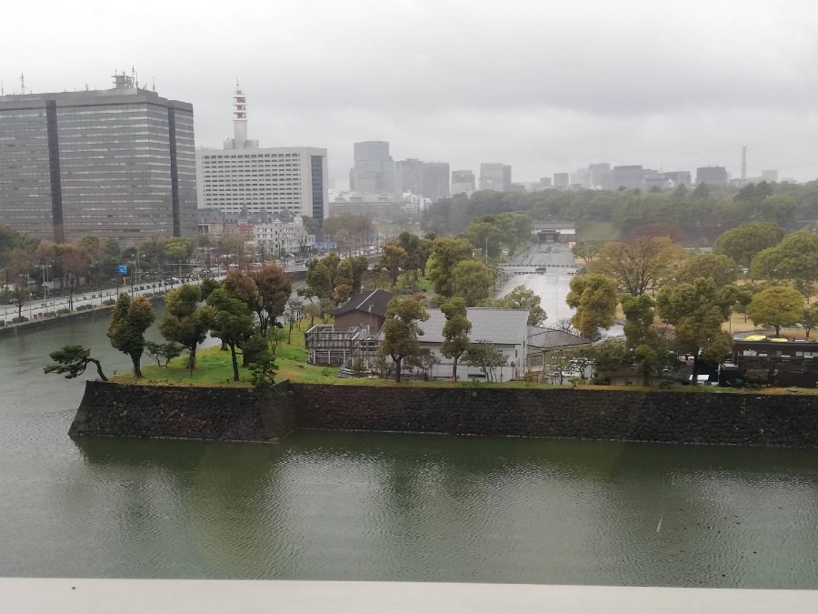 雨のお堀の風景