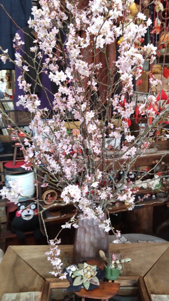 桜の枝🌸蕗の薹とツクシ
