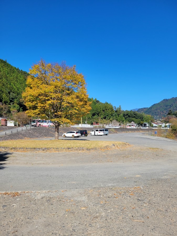 あの日の思い出　大井川鐵道千頭駅近くの河川敷