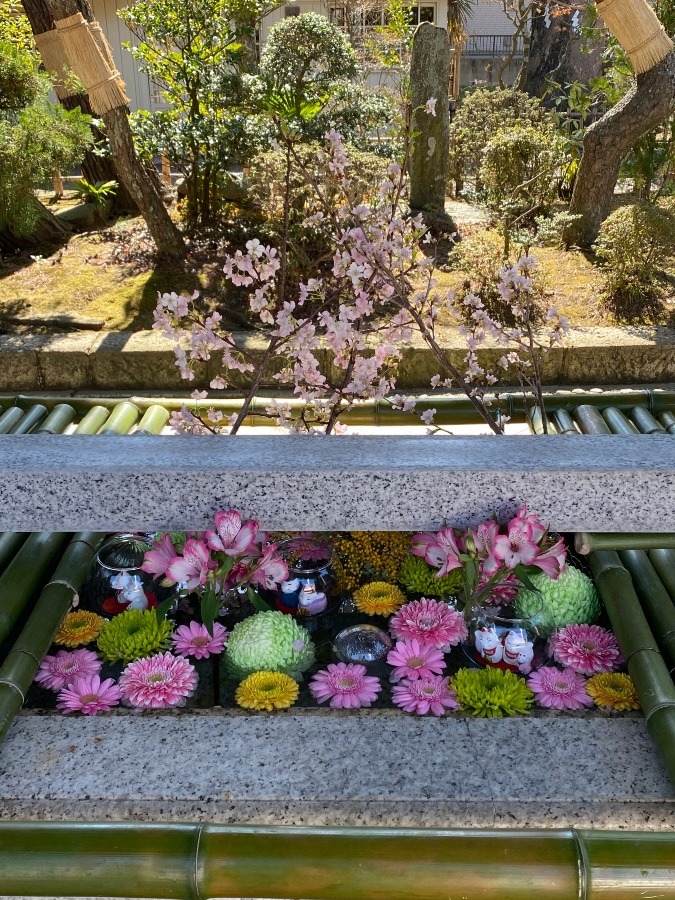 竹駒神社の花手水🌸