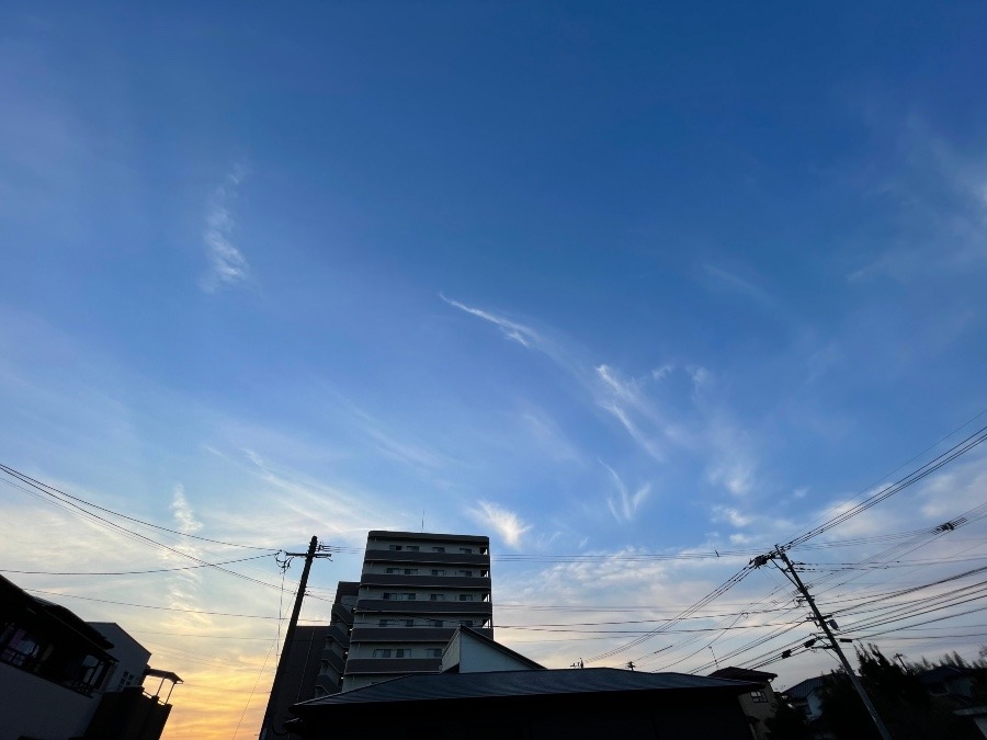 朝空❣️