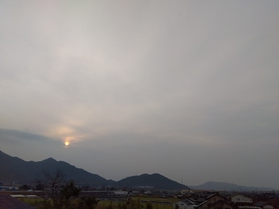 3/12　今日の空  濃霧です