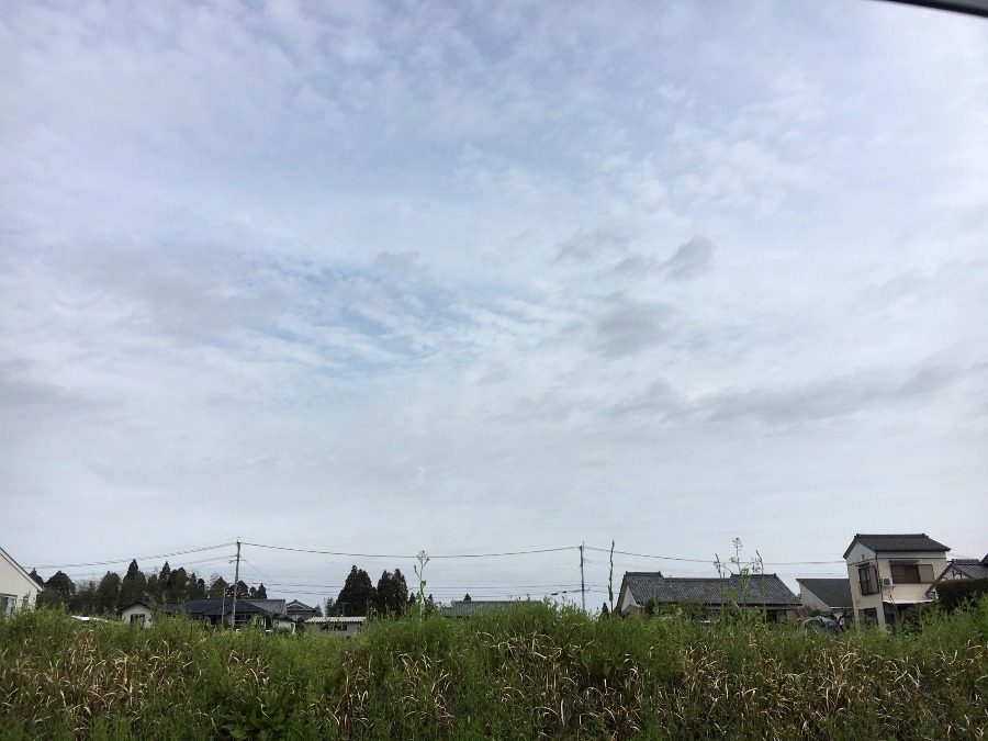 ⭕️空部→ 今日の空（≧∇≦）‼️496.