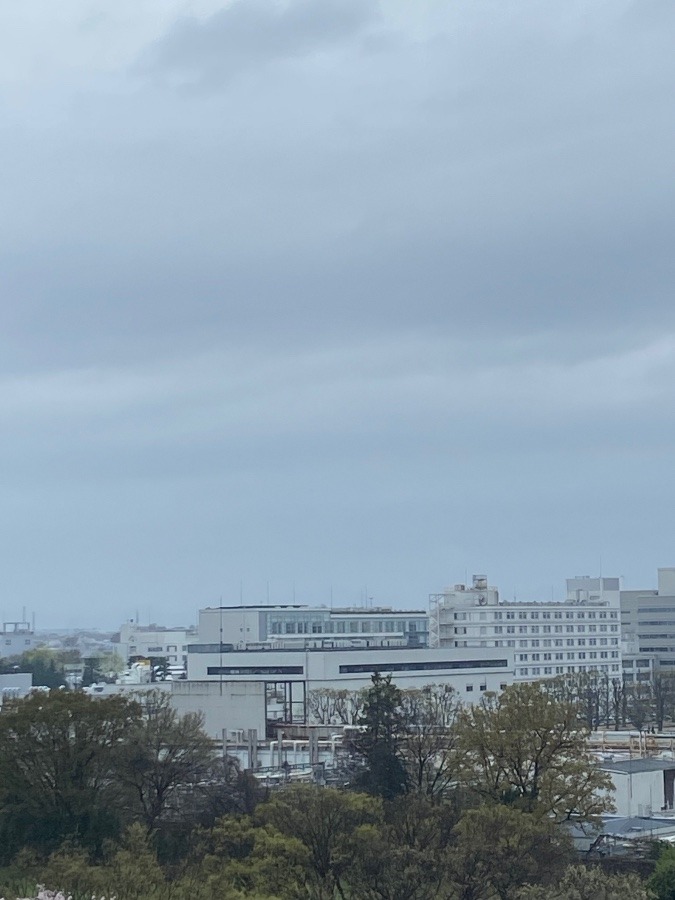 今朝の富士山