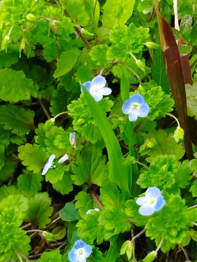 🌸春を見つけに😊❗19