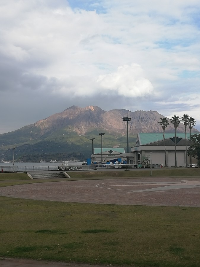 桜島です!