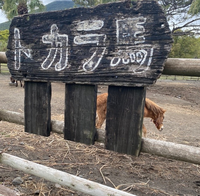 やっと会えた❗️