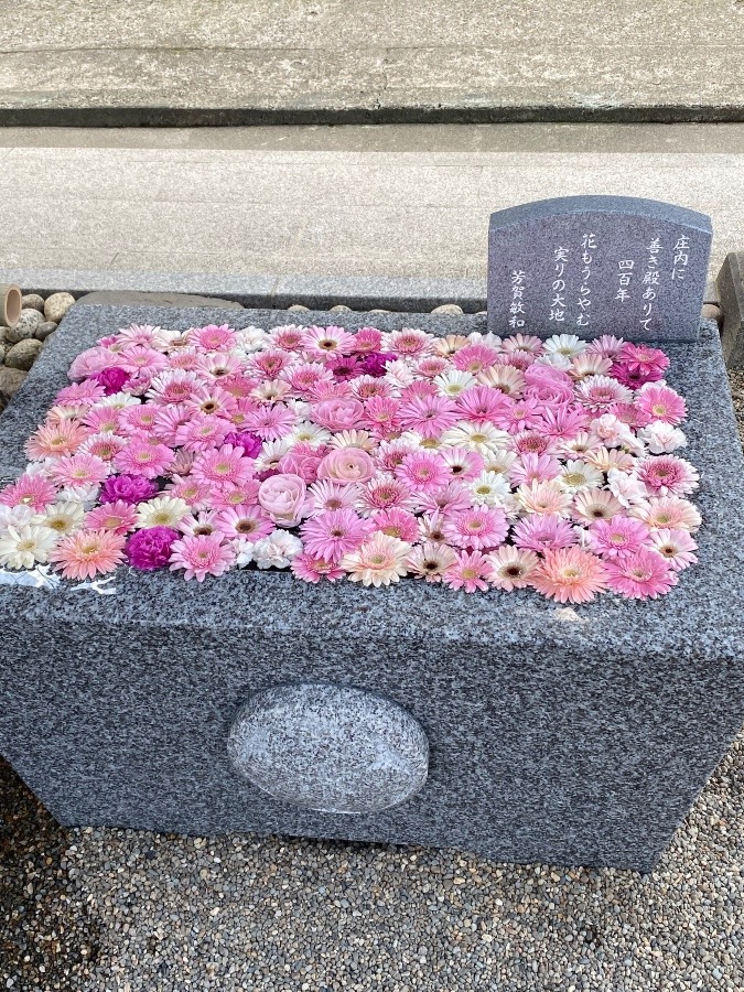 荘内神社⛩