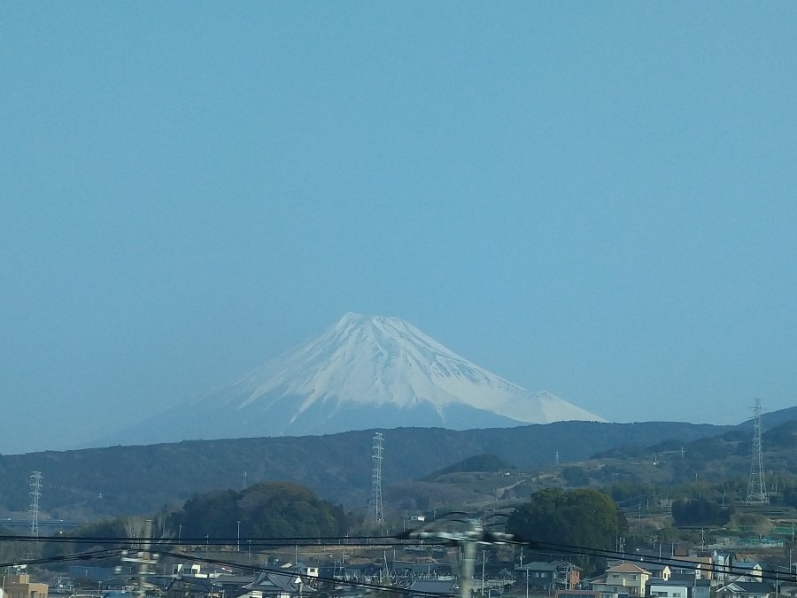 おはようございます❣