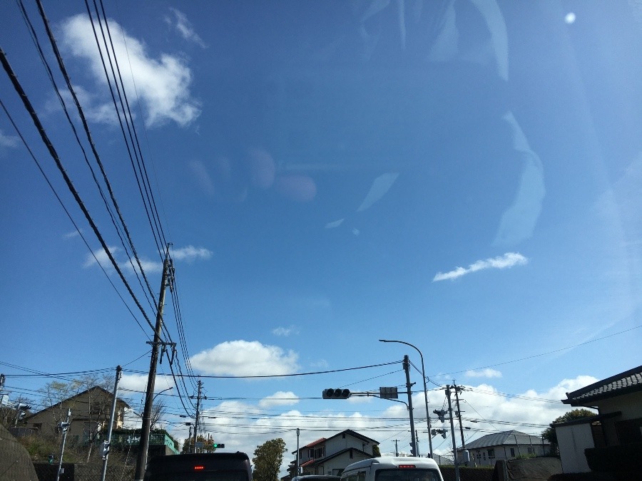 ⭕️空部→ 午前中、今日の空（≧∇≦）‼️482.