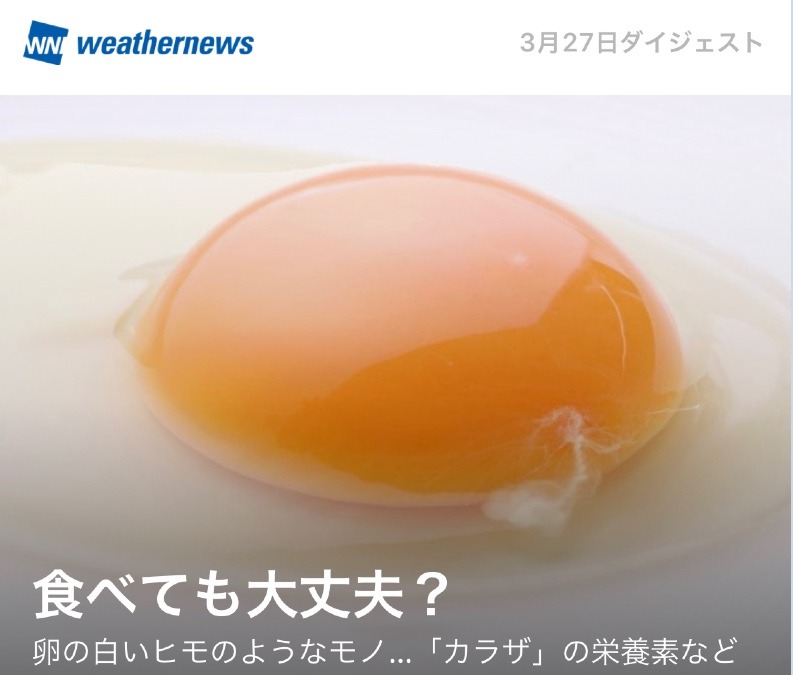 卵の話🍳