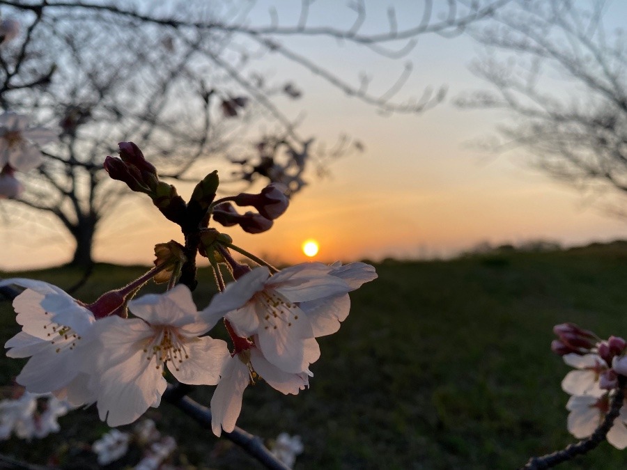 夕焼け空