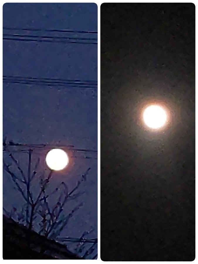 待ちきれずワームムーン🌕