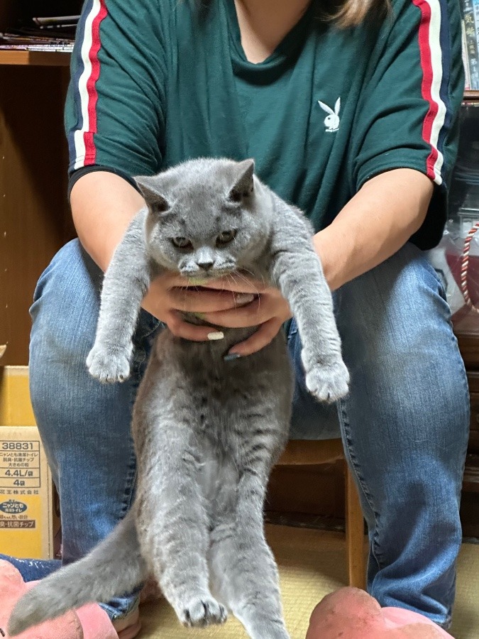 幸せに