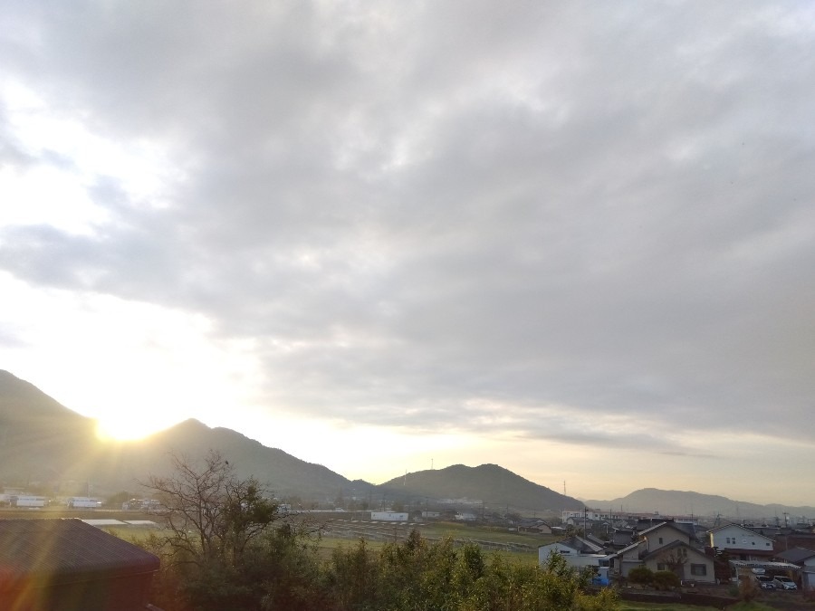 3/22  今日の空