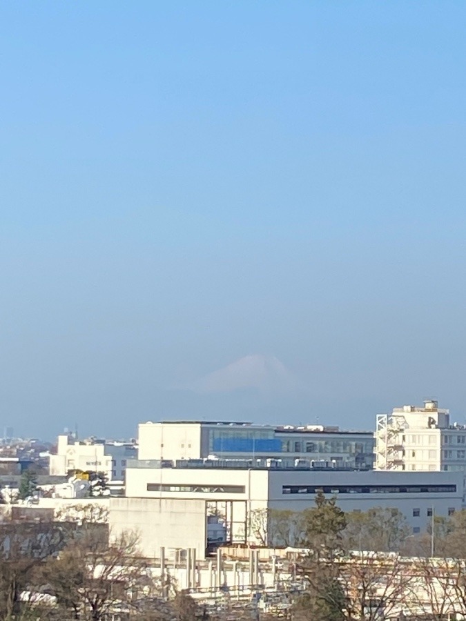 今朝の富士山