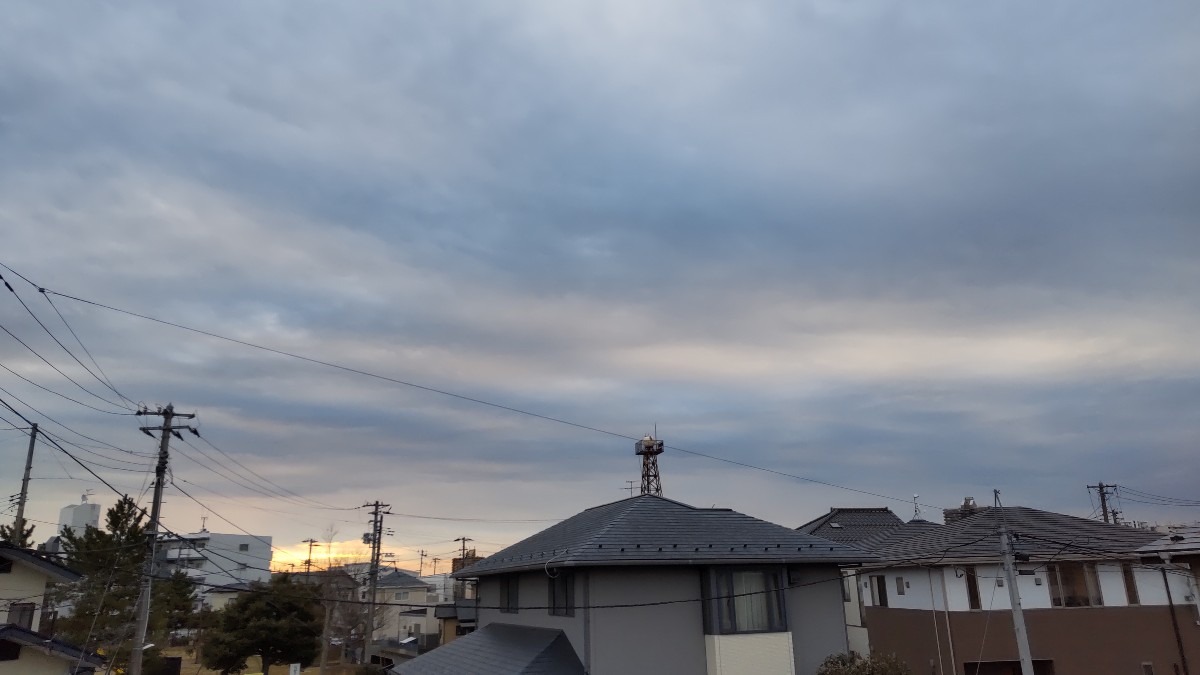 今朝も、花曇りの暖かい朝です。