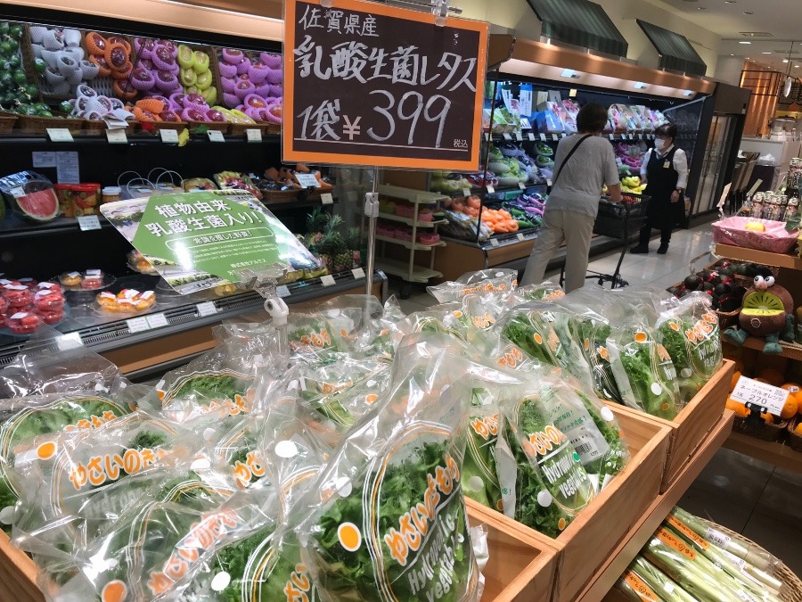 本物の有機野菜 3