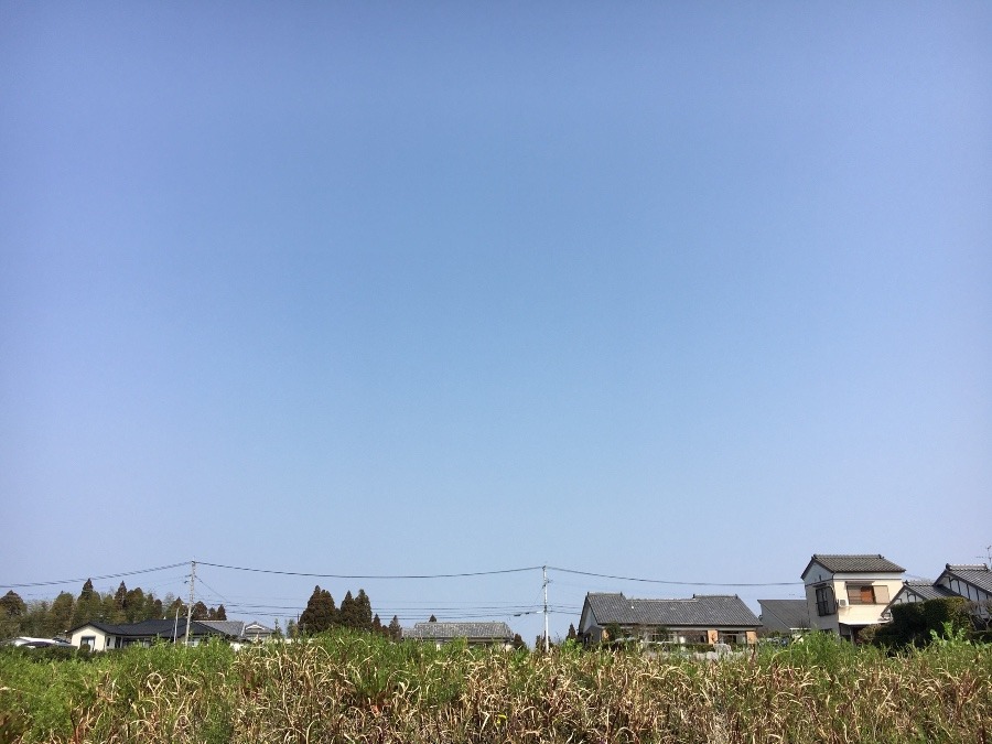 ⭕️空部→ 今日の空（≧∇≦）‼️466.